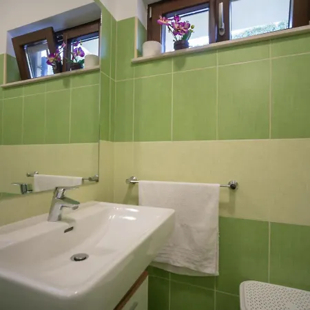 Damir By Interhome Apartment